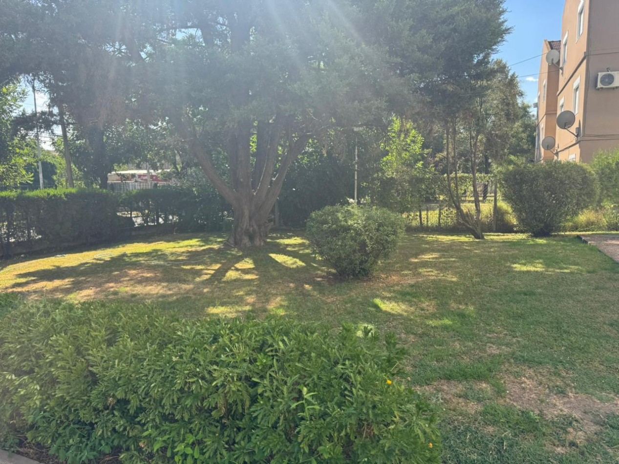 Hermoso Departamento en Techos